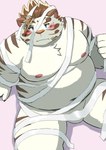 anthro balls band-aid bandage belly big_belly blush genitals holidays kemono male moobs mummy_costume mummy_wrappings navel nipples overweight overweight_male simple_background sitting solo white_body 9dtq0 halloween lifewonders tokyo_afterschool_summoners licho_(tas) felid mammal pantherine tiger 2023 absurd_res hi_res