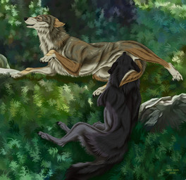 ambiguous_feral ambiguous_gender black_body black_claws black_fur brown_body brown_fur cheek_tuft chest_tuft claws duo ears_back eyes_closed facial_tuft fellatio feral feral_on_feral fur grass grey_body grey_fur looking_pleasured male male/ambiguous male_feral neck_tuft oral outside penile pivoted_ears plant rock sex text tuft white_body white_fur msdeadsoul canid canine mammal 2025 dated english_text hi_res signature