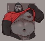 anthro barazoku beard belly belly_hair big_nipples big_pecs body_hair bottomless broad_shoulders chest_hair clothed clothing clothing_lift facial_hair genitals grey_hair hair hairy looking_at_viewer male mature_anthro mature_male moobs musclegut muscular navel nipples overweight overweight_anthro overweight_male pecs penis penis_base pose presenting pubes shirt shirt_lift smile smiling_at_viewer smirk smirking_at_viewer solo stocky topwear sinfulspikes emory_(sinfulspikes) ape gorilla haplorhine mammal primate silverback_gorilla 2024 half-length_portrait hi_res pinup portrait