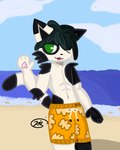 abs anthro beach clothed clothing cloud dreadlocks green_eyes male one_eye_closed orange_clothing sea shoreline sky solo spots swimming_trunks swimwear topless topless_male water jaed jaed_(character) domestic_cat felid feline felis mammal 4:5 hi_res