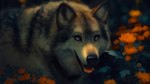 ambiguous_gender black_nose blurred_background fangs feral flower fur grey_body grey_eyes grey_fur open_mouth orange_flower orange_tongue outside plant solo teeth tongue white_body white_fur mylafox canid canine canis mammal wolf 16:9 2022 dated detailed signature widescreen