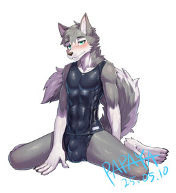anthro balls_outline black_clothing black_topwear blue_eyes blush bulge cheek_tuft clothed clothing detailed_bulge facial_tuft front_view fur genital_outline grey_body grey_fur grey_tail kemono looking_at_viewer male mouth_closed neck_tuft penis_outline simple_background solo tail topwear tuft white_background white_body white_fur white_tail papayafurry canid canine mammal 2025 dated hi_res signature