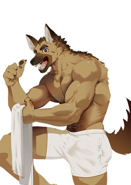 abs anthro athletic athletic_anthro athletic_male black_nose bottomwear brown_body brown_fur bulge clothed clothing detailed_bulge fluffy fluffy_tail fur genital_outline kemono looking_at_viewer male paws penis_outline pointy_ears shorts simple_background solo tail tan_body tan_fur topless topless_anthro topless_male towel qio0330 canid canine canis domestic_dog german_shepherd herding_dog mammal pastoral_dog hi_res