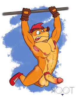 abs anthro armpit_hair athletic balls big_penis bodily_fluids body_hair clothing erection exercise genitals gloves hair handwear humanoid_genitalia humanoid_penis male muscular muscular_male nipples nude pecs penis pubes simple_background solo sweat teeth dg254 activision crash_bandicoot_(series) crash_bandicoot bandicoot mammal marsupial absurd_res digital_drawing_(artwork) digital_media_(artwork) hi_res