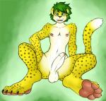 anthro balls biped erection foreskin genitals green_eyes green_hair hair looking_at_viewer male mascot pawpads penis presenting simple_background solo south_africa world_cup sebafox fifa zakumi felid leopard mammal pantherine 2016 hi_res