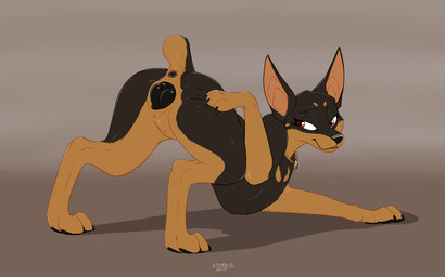 anatomically_correct anatomically_correct_anus anatomically_correct_genitalia anatomically_correct_vulva animal_genitalia animal_vulva anus black_anus black_nose black_vulva bodily_fluids butt canine_genitalia canine_vulva female feral fur genital_fluids genitals looking_at_viewer looking_back nude presenting presenting_anus presenting_hindquarters presenting_vulva quadruped raised_tail simple_background smile solo tail text vulva ethersilverfox felony_(deeri) canid canine canis dobermann domestic_dog mammal pinscher 16:10 2019 absurd_res dated digital_drawing_(artwork) digital_media_(artwork) english_text hi_res widescreen