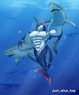 ambiguous_gender anthro anthro_focus asian_clothing clothing east_asian_clothing feral fundoshi group japanese_clothing male male_focus muscular muscular_anthro muscular_male muscular_thighs solo_focus text underwater underwear water white_clothing white_fundoshi white_underwear just_alex_tag dislyte lilith_games tetsuya_(dislyte) aquatic fish shark 2026 artist_name english_text hi_res signature