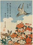 ambiguous_gender beak black_body black_eyes black_feathers cloud feathered_wings feathers feral flower flying gradient_feathers grey_body grey_feathers open_mouth outside plant sky solo tail tail_feathers text wings woodblock_print katsushika_hokusai avian bird cuculiform 1828 19th_century ancient_art japanese_text painting_(artwork) traditional_media_(artwork)