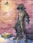 avian balls bdsm beak bondage bound forced_orgasm gryphon male milking_machine penis penis_milking ruaidri solo
Rating: Explicit
Score: 17
User: gosman
Date: February 18, 2012