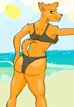anthro beach bikini bikini_bottom bikini_top breasts butt clothing female looking_at_viewer orange_body presenting presenting_hindquarters sea solo swimwear two-piece_swimsuit under_boob water chungywungy canid canine mammal hi_res