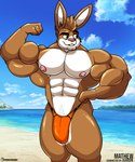 abs anthro beach biceps big_arms big_biceps big_bulge big_muscles big_pecs bikini_thong blue_sky buckteeth bulge clothing cloud eyebrows flexing flexing_bicep fur glistening glistening_body green_eyes hair male multicolored_body multicolored_fur muscular muscular_anthro muscular_male nipples orange_clothing orange_thong orange_underwear pecs pink_hair pose pubes raised_eyebrow sand seaside sky smile smiling_at_viewer smirk smirking_at_viewer solo swimwear tan_body tan_fur tan_hair teeth thick_thighs thong two_tone_body two_tone_fur underwear white_body white_fur xmonstadogx mathew_porter lagomorph leporid mammal rabbit 2024 hi_res pinup