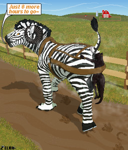 anal animal_genitalia anthro anthro_on_feral anthro_rimming_feral anus balls bdsm bestiality bodily_fluids bound butt dripping duo equine_anus equine_genitalia farm fence feral field fur genitals hands_tied hanging_by_arms harness horn male male/male mickael573 mouth_to_ass musk musky_anus musky_butt oral puffy_anus raised_tail rimming rimming_male sex smelly smelly_anus snout_fuck speech_bubble straps striped_body striped_fur stripes sweat sweatdrop sweaty_butt sweaty_genitalia tack tail tied_to_butt tuft conditional_dnp zelkothezeeb zelko equid equine felkin horse hybrid kobold mammal scalie zebra digital_media_(artwork) hi_res pixel_(artwork)
