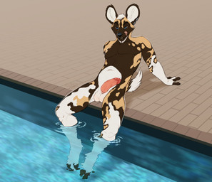 arm_support balls bedroom_eyes blue_eyes brown_body brown_fur ear_piercing fur genitals half-erect humanoid_genitalia humanoid_penis legs_in_water licking licking_lips licking_own_lips male narrowed_eyes nude partially_submerged penis piercing poolside reclining seductive sitting solo submerged_legs swimming_pool tail tongue tongue_out water white_body white_fur windadragon jaden_ribery african_wild_dog canid canine mammal hi_res