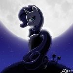 2014 blue_eyes dress equine female friendship_is_magic horn john_joseco looking_back mammal moon my_little_pony night rarity_(mlp) solo unicorn
Rating: Safe
Score: 15
User: spight
Date: March 13, 2014