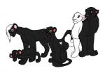 black_fur cub feline female fur hair long_tail male mammal open_mouth panther plain_background smile the_shadow_of_light tongue unknown_artist white_background white_hair young
Rating: Questionable
Score: 1
User: The_Shadow_of_Light
Date: March 04, 2014
