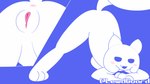 16:9 animated anthro anus ass_up blush breasts butt clyde_(discord) discord_(app) female genitals high_framerate highguard jack-o'_pose pose presenting presenting_anus presenting_hindquarters presenting_pussy pussy shaking_butt short_playtime solo widescreen