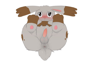 2014 3_toes anus balls barefoot blush bunnelby butt crying cute dreiker erection feral fur hand_on_stomach hi_res lagomorph long_ears looking_at_viewer lying male mammal nintendo nude on_back on_floor pawpads paws penis pokémon presenting presenting_hindquarters rabbit raised_leg solo tears video_games
Rating: Explicit
Score: 5
User: toh
Date: March 05, 2014