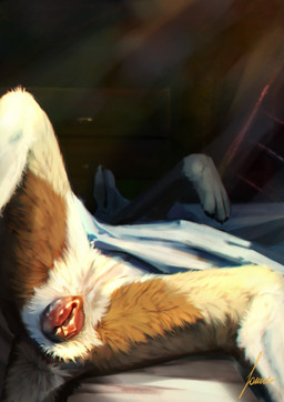 animal_genitalia animal_vulva bed bedding bedroom blanket brown_body brown_fur canine_genitalia canine_vulva detailed_background detailed_fur expose female feral fur furniture genitals inside light lying lying_on_bed on_back on_bed realistic_feral realistic_lighting solo spreading sunlight vulva white_body white_fur fokker_(artist) juniper_(fishymishy) canid canine canis mammal wolf absurd_res detailed hi_res