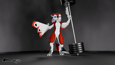 3_fingers 3_toes 4_ears anthro blue_eyes digitigrade dumbbell feathers feet female fingers multi_ear simple_background solo tail toes weights wings workout_gear the_architect_of_order the_founder avali 16:9 3d_(artwork) absurd_res digital_media_(artwork) hi_res huge_filesize watermark widescreen