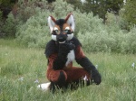 anthro clothing costume fursuit green_eyes looking_at_viewer male nature outside photo_background real solo unknown_artist zeke_wolf canid canine canis mammal wolf 4:3 grandfathered_content photography_(artwork)