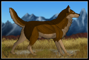 amber_eyes animal_genitalia anus blue_sky brown_body brown_fur claws dark_claws digitigrade ear_piercing ear_ring feral fully_sheathed fur genitals grass looking_away male mountain pawpads piercing plant quadruped raised_tail ring_piercing sheath side_view sky solo standing tail nikitainu karn_(karn_the_wolf) canid canine canis mammal wolf 2015 digital_drawing_(artwork) digital_media_(artwork)