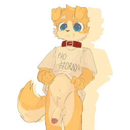 5_fingers anthro arm_tuft balls blue_eyes clothed clothing clothing_lift collar crotch_tuft elbow_tuft erection eyebrows fingers floppy_ears fluffy fluffy_tail fur genitals glistening glistening_body grey_nose human_on_anthro humanoid_genitalia humanoid_penis interspecies kemono male navel penis red_collar shirt shirt_lift simple_background solo tail topwear tuft vein veiny_penis white_background white_balls white_body white_clothing white_eyebrows white_fur white_penis white_shirt white_topwear yellow_body yellow_fur young young_anthro young_male regcron crowl_(regcron) canid canine canis domestic_dog human mammal 1:1 2025 hi_res portrait three-quarter_portrait