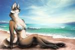 4_toes anthro arm_support beach bikini biped black_nose bra breasts brown_body brown_fur chest_tuft claws clothing cloud day detailed_background digitigrade feet female fingers fluffy fluffy_tail fur horizon looking_away nipple_outline on_ground outside pawpads paws pose relaxing sea seaside side_view sitting sky smile solo swimwear tail three-quarter_view toes topwear tuft two-piece_swimsuit underwear water white_body white_claws white_fur sterr canid canine canis domestic_dog mammal 2017 detailed digital_drawing_(artwork) digital_media_(artwork) full-length_portrait pinup portrait