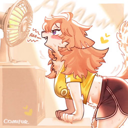 anthro breasts clothed clothed_anthro clothed_female clothing crop_top dolphin_shorts electric_fan female female_anthro fur hair kemono shirt solo tail topwear comifur meme_clothing loomy_(comifur) canid canine canis domestic_dog mammal 1:1 2025 2d_animation animated digital_media_(artwork) loop meme motion_tweening no_sound webm