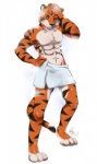 abs anthro biped clothed clothing covering covering_self male muscular muscular_anthro muscular_male pose shower simple_background solo standing stripes tail topless towel towel_around_waist towel_only white_background kubikitsune felid mammal pantherine tiger