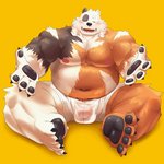 anthro balls_outline belly black_body black_fur black_nose blush brown_body brown_fur bulge clothing detailed_bulge fur genital_outline male moobs navel nipples overweight overweight_anthro overweight_male simple_background sitting solo underwear white_body white_fur yellow_background mti777 bear mammal 1:1 2020 2d_animation animated better_version_at_source low_res motion_tweening short_playtime