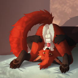 animal_genitalia animal_penis anthro autofellatio balls biped black_claws black_hands black_nose black_paws bodily_fluids canine_genitalia canine_penis claws cum cum_in_mouth cum_inside dipstick_tail ear_scar erection erection_in_sheath fluffy front_view fur genital_fluids genitals grabbing grabbing_both_legs grabbing_both_thighs hair inner_ear_fluff knot knot_in_sheath looking_at_viewer male male_anthro markings masturbation multicolored_body multicolored_fur nude nude_anthro nude_male oral oral_masturbation orange_inner_ear_fluff pawpads paws penile penile_masturbation penis pose pupils red_hair red_tail scar sheath solo spread_legs spreading tail tail_markings tongue tongue_out tuft upside_down upside_down_autofellatio white_tail_tip yellow_eyes red_the_kitsune moonglow canid canine fox mammal 1:1 2025 absurd_res digital_media_(artwork) full-length_portrait hi_res line_art portrait shaded watermark
