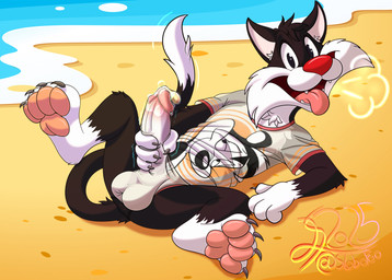 anthro balls beach bottomless bottomless_male clothed clothing genitals humanoid_genitalia male masturbation pawpads paws penis solo underwear conditional_dnp lobofeo looney_tunes warner_brothers pepe_le_pew sylvester_(looney_tunes) domestic_cat felid feline felis mammal absurd_res hi_res