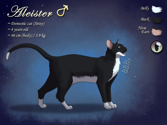 abstract_background belly black_body black_fur black_nose color_swatch feral fur gender_symbol green_eyes happy male male_symbol open_mouth quadruped semi-realistic side_view solo standing symbol text whiskers white_belly white_body white_fur white_paws pspspsy aleister_(pspspsy) domestic_cat felid feline felis mammal tuxedo_cat english_text hi_res