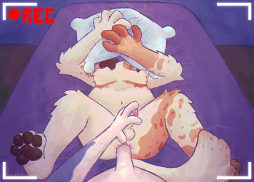 anal anal_penetration anthro asphyxiation bed collar collar_only duo face_covered face_in_pillow feet from_front_position fur furniture genitals gripping_pillow hug hugging_object hugging_pillow legs_up lying male male/male markings mastectomy_scar missionary_position nude on_back on_bed pawpads penetration penile penile_penetration penis penis_grab penis_in_ass pillow recording recording_sex recording_video scar sex spots spotted_body spread_legs spread_toes spreading tan_body tan_fur toes white_body white_fur bwuhterscotch scotch_(bwuhterscotch) spade_(bwuhterscotch) border_collie canid canine canis collie domestic_dog herding_dog mammal old_english_sheepdog pastoral_dog sheepdog hi_res
