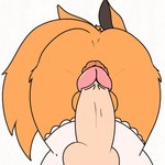 anal anal_penetration anthro balls butt duo genitals humanoid_genitalia humanoid_penis long_ears long_tail male male/male orange_body penetration penis red_eyes tail aricks137 naruto kurama canid canine fox human mammal 1:1 animated hi_res short_playtime