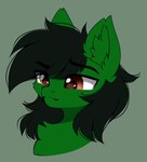 ambiguous_gender black_hair brown_eyes feral fur green_background green_body green_fur green_inner_ear_fluff hair inner_ear_fluff quadruped simple_background solo tuft airiniblock hasbro my_little_pony fan_character kendall_wilson_(oc) equid equine horse mammal pony 2021 absurd_res bust_portrait green_theme hi_res portrait