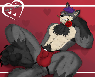 anthro armpit_hair body_hair bulge chest_hair claws clothing flower flower_in_mouth fur grey_body grey_fur hair happy_trail holidays jockstrap male paws plant purple_hair rose_(flower) rose_in_mouth solo underwear yellow_eyes nicolasthewolf valentine's_day canid canine canis mammal wolf hi_res