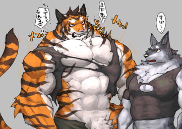 abs amber_eyes anthro biceps black_clothing black_shirt black_topwear blue_body blue_eyes blue_fur blue_inner_ear bodily_fluids brown_inner_ear brown_stripes claws clenched_teeth clothed clothed_anthro clothed_male clothing countershade_arms countershade_face countershade_fur countershade_hands countershade_neck countershade_torso countershading dialogue duo emanata facial_markings finger_claws front_view fur furrowed_eyebrows grey_background grey_body grey_fur hand_on_hip hand_on_own_hip head_markings head_tuft looking_down looking_down_at_another looking_up_at_another male markings muscular muscular_anthro muscular_male nervous nervous_sweat orange_body orange_fur pecs pointy_ears shirt simple_background snout speech_bubble striped_arms striped_face striped_markings striped_tail striped_torso stripes sweat sweaty_face tail tail_markings talking_to_another teeth text tight_clothing tight_topwear topwear torn_clothing torn_topwear tuft whiskers white_body white_countershading white_fur white_sclera captainjohkid canid felid mammal pantherine tiger 2018 digital_drawing_(artwork) digital_media_(artwork) half-length_portrait japanese_text portrait translation_request