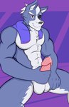 anthro balls bodily_fluids fur genital_fluids genitals grey_body grey_fur humanoid_genitalia humanoid_penis male muscular muscular_anthro muscular_male penis precum smile solo notedwolf nintendo star_fox wolf_o'donnell canid canine canis mammal wolf hi_res