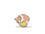 ambiguous_gender cantaloupe food fruit hug melon plant simple_background solo white_background thewondercat canid canine canis domestic_dog herding_dog mammal pastoral_dog welsh_corgi 2012