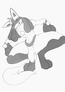 anthro balls bedroom_eyes crouching flaccid foreskin genitals humanoid_genitalia humanoid_penis male narrowed_eyes penis pubes seductive solo spikes spikes_(anatomy) tail tongue tongue_out unretracted_foreskin dangermons nintendo pokemon generation_4_pokemon lucario pokemon_(species) absurd_res hi_res line_art monochrome