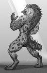 anthro balls bandage butt claws digitigrade fur genitals grinning_at_viewer jock looking_at_viewer looking_back looking_back_at_viewer male markings mohawk muscular muscular_anthro muscular_male naughty_face nude_anthro nude_male rear_view sharp_teeth smile smiling_at_viewer spots spotted_body spotted_fur tail teeth cu_sith_(artist) hyena mammal spotted_hyena greyscale hi_res monochrome watermark
