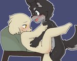 4_fingers ambiguous_gender ambiguous_penetrated ambiguous_penetration anthro anthro_on_anthro anthro_penetrated anthro_penetrating anthro_penetrating_anthro balls black_body black_eyes black_fur blue_background blush duo embarrassed fangs feet fingers fur genitals grey_body grey_fur happy lying male male/ambiguous male_penetrating male_penetrating_ambiguous on_back open_mouth penetration penis sex simple_background tail teeth toes white_body white_fur yellow_eyes young young_ambiguous young_male young_on_young onwanwa canid canine canis mammal wolf 2023 hi_res japanese_description