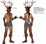 5_fingers anthro antlers biped brown_body brown_fur clothed clothing fingers fur horn male solo tail text topless topless_anthro topless_male underwear underwear_only aevris ryker_(aevris) cervine deer elk mammal english_text hi_res model_sheet