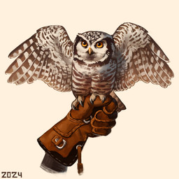 beak brown_spots brown_stripes clothing feathers feral gloves handwear markings multicolored_body multicolored_feathers on_hand perching simple_background solo spots spotted_body spotted_feathers spread_wings striped_feathers stripes two_tone_body two_tone_feathers white_background white_body white_feathers wings yellow_beak yellow_eyes alexpahomov avian bird northern_hawk_owl owl 1:1 2024 digital_media_(artwork) digital_painting_(artwork) painting_(artwork)