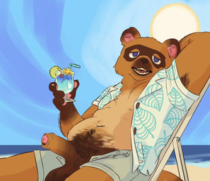 anthro armpit_hair balls beach beverage body_hair bottomwear casual_exposure clothed clothing erection foreskin genitals happy_trail humanoid_genitalia humanoid_penis looking_at_viewer male open_clothing open_shirt open_topwear outside penis pubes reclining reclining_on_chair sea shirt shorts slightly_chubby slightly_chubby_male solo sun topwear water demilittleguy animal_crossing nintendo tom_nook_(animal_crossing) canid canine mammal raccoon_dog tanuki hi_res