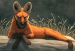 ambiguous_gender big_ears black_pawpads claws copyright_symbol feral fur multicolored_body multicolored_fur orange_body orange_fur pawpads quadruped shadow solo symbol text chiakiro canid canine mammal maned_wolf 2021 artist_name digital_media_(artwork) digital_painting_(artwork) url