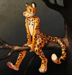 anthro biped branch feet glistening hindpaw in_tree latex looking_at_viewer male on_branch outside paws plant simple_background sitting sitting_on_branch smile solo spots tree cubi kamu felid jaguar mammal pantherine 2016 digital_media_(artwork)