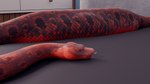 abdominal_bulge belly big_belly bloated bump feral fully_inside orange_body red_body solo vore matteino sharkstuff python reptile scalie snake 16:9 3d_(artwork) 4k absurd_res digital_media_(artwork) hi_res widescreen