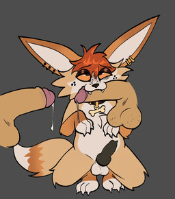 anthro fellatio genitals group group_sex jewelry knot knotted_penis male male/male necklace oral orgy penile penis sex solo solo_focus submissive submissive_male ikaro canid canine fennec_fox fox mammal true_fox hi_res